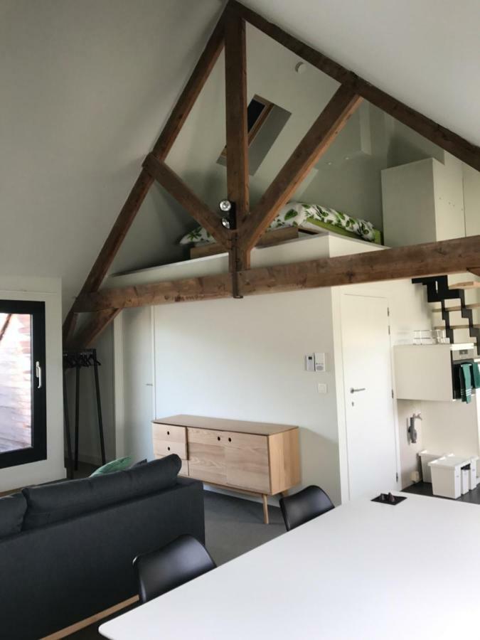 Baudelo Apartment Gent Bagian luar foto