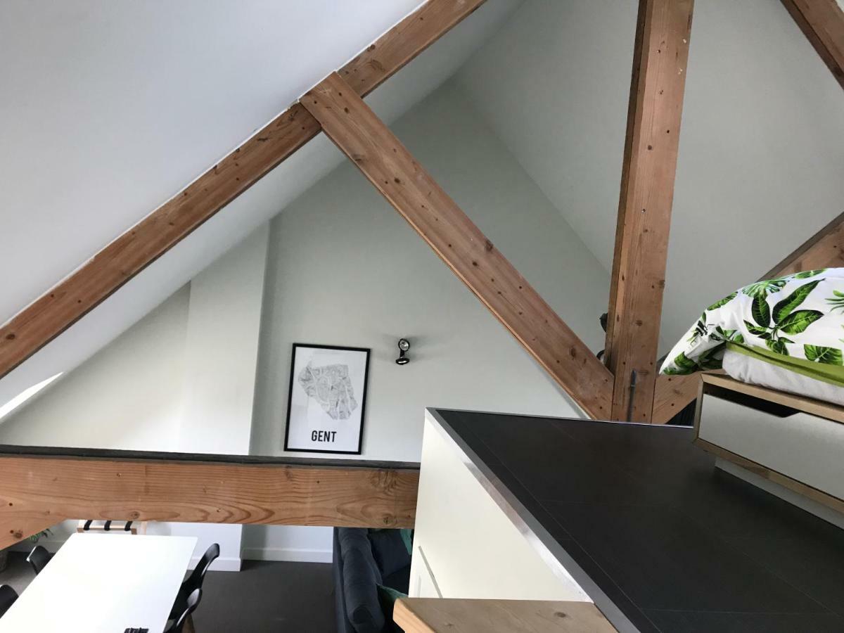 Baudelo Apartment Gent Bagian luar foto